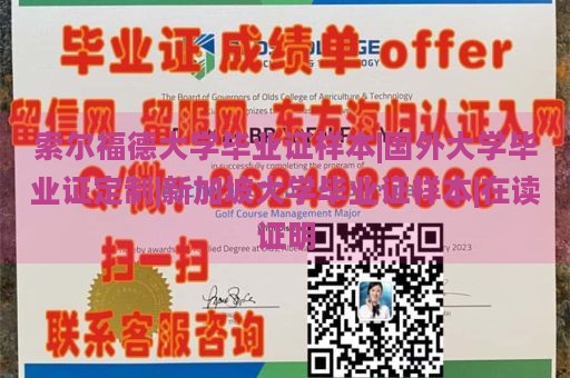 索尔福德大学毕业证样本|国外大学毕业证定制|新加坡大学毕业证样本|在读证明